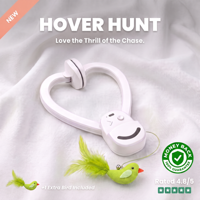 Hover Hunt